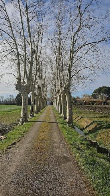 Hebergement - Canal Du Midi Saint-Martin-Lalande Eksteriør bilde